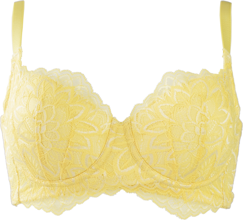 lemon-bra