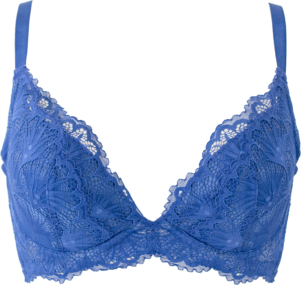 blue-bra