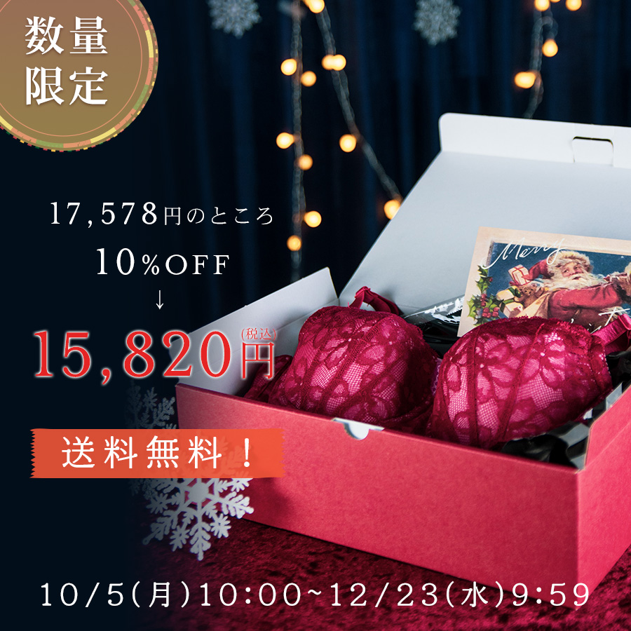 クリスマスコフレ ランジェリーセット Heaven Japan 大阪発 補整下着の専門店 女性用下着通販